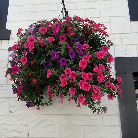 Doune The Red Lion Inn المظهر الخارجي الصورة